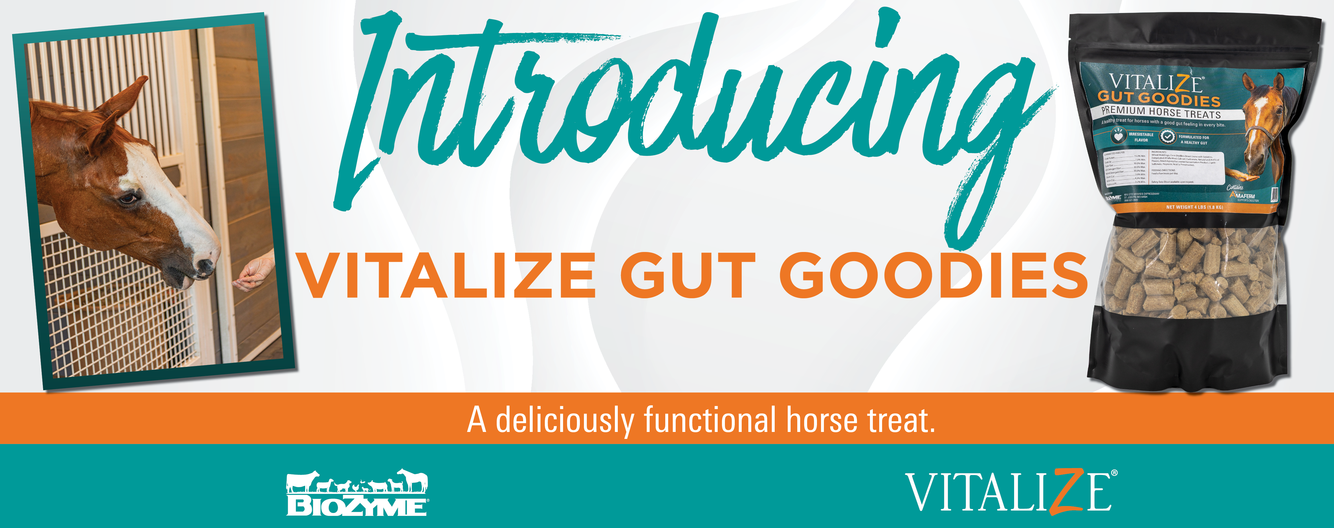 Horse head reaching through stable; bag of Vitalize Gut Goodies; Introducing Vitalize Gut Goodies