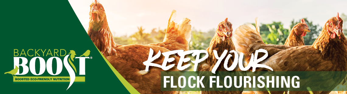 flock flourishing