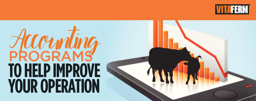 Accounting Programs for Ranchers