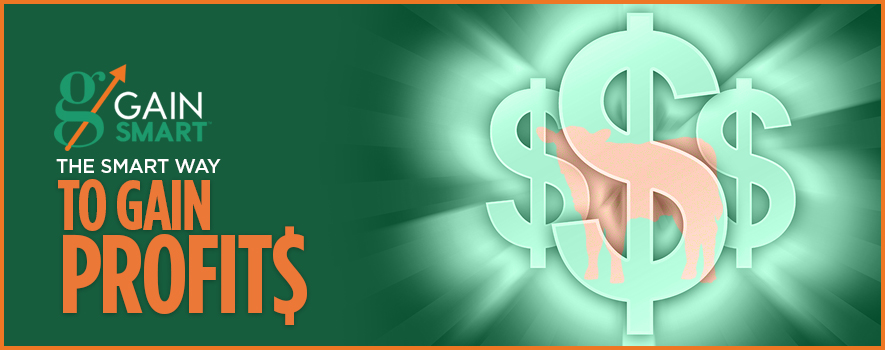 Cattle: The Smart Way to Gain Profits