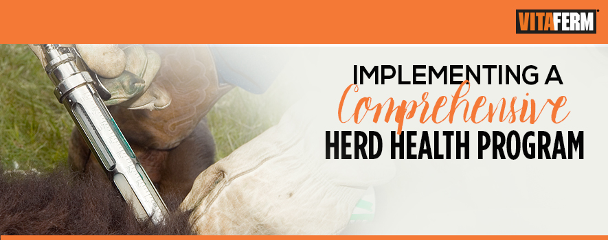 Herd Health Recommendations at Calving Time
