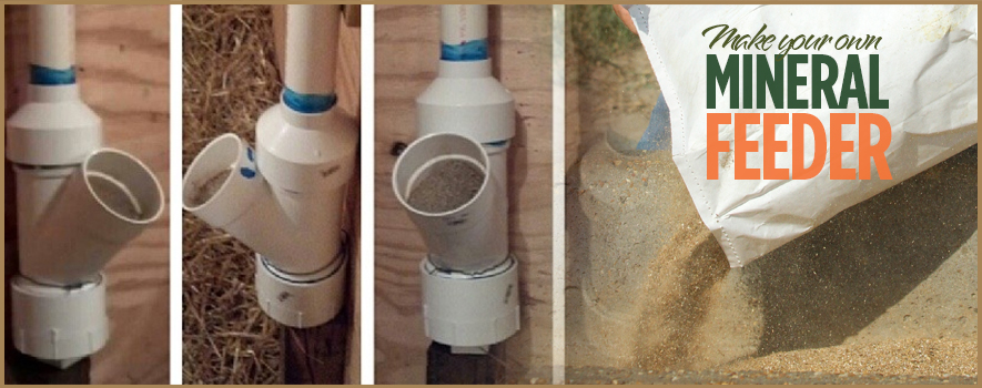mineralfeeder-header-aug2016