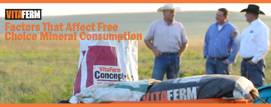 Factors that Affect Mineral Consumption