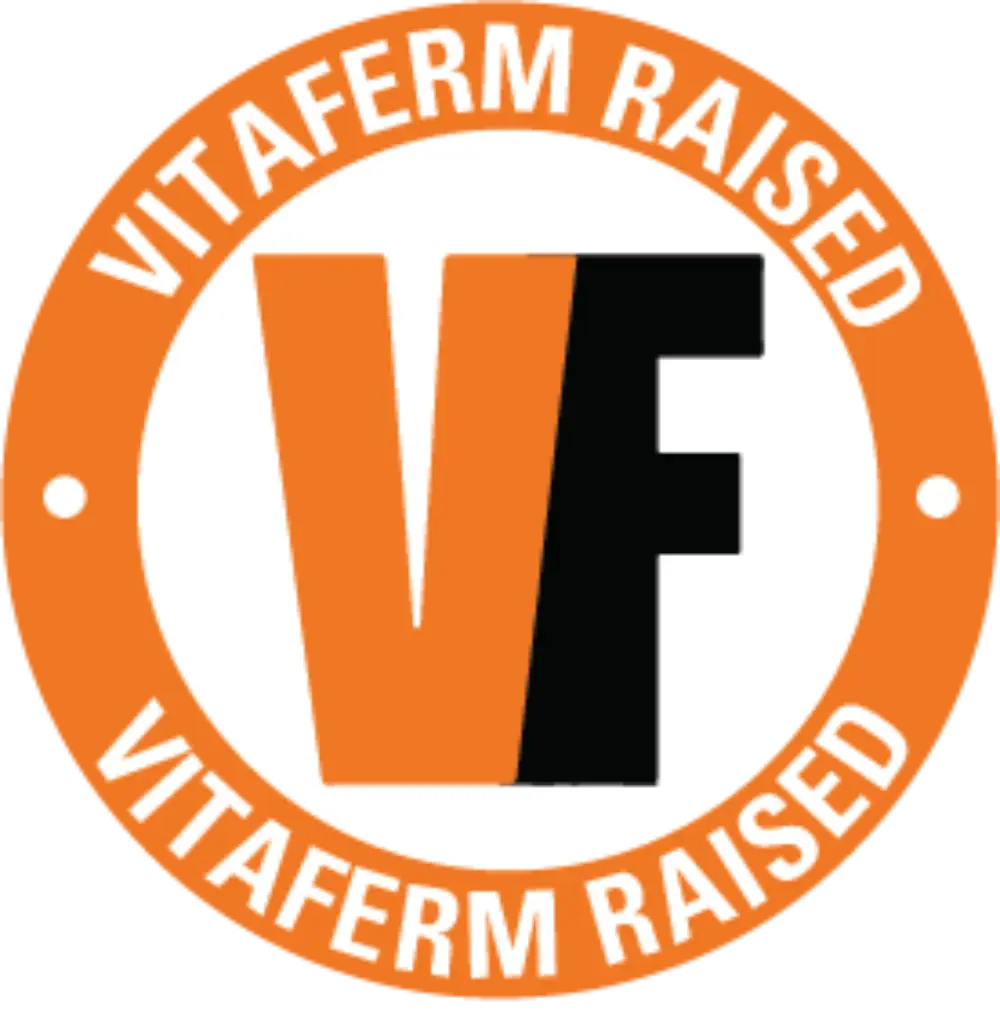 VF Raised Icon