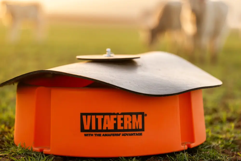 SPC24 GS Wheat VF Mineral Feeder Cattle On Wheat 24407 small
