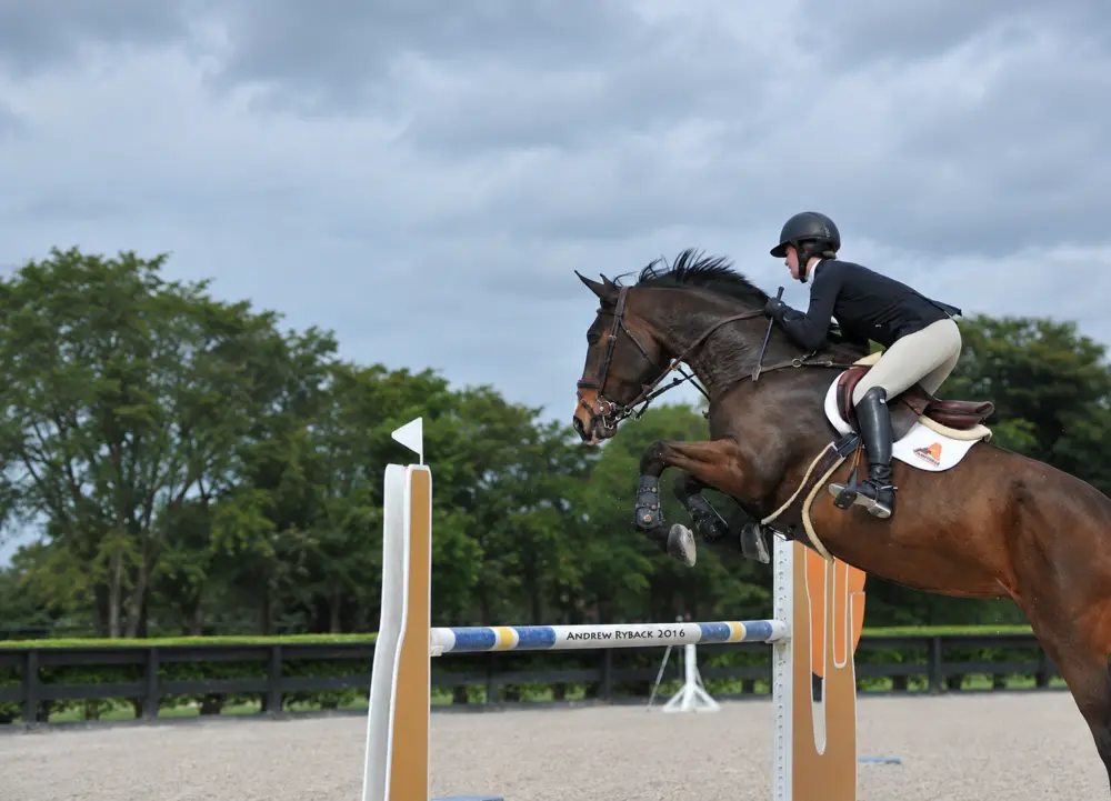 Rider jumping horse
