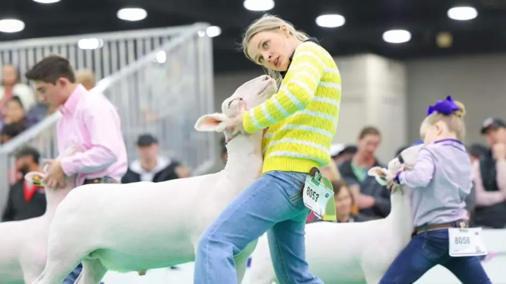 Biozyme show livestock 0010 Katie Hoffman Ringshot NAILE