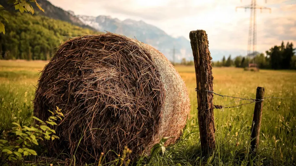 Biozyme hay testing service
