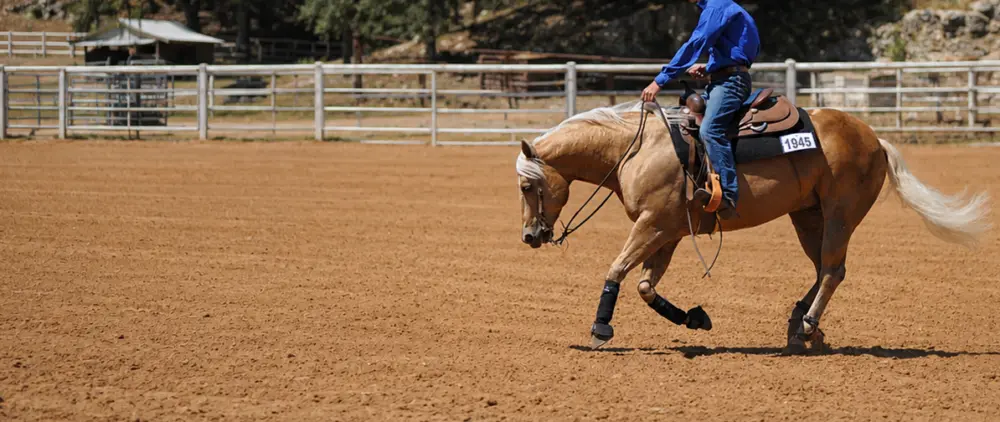 Photo western reining loping horse