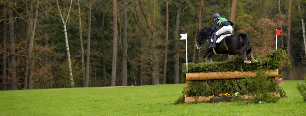 English eventing horse