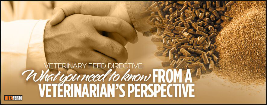 veterinarian-feed-directive